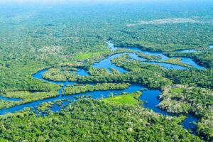 Amazon River